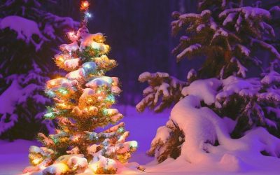 Heartfelt Holidays: 3 More Ways to Bring Consciousness to Christmas