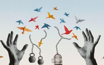 The 5 “R”s of Restoring and Winter (part two)