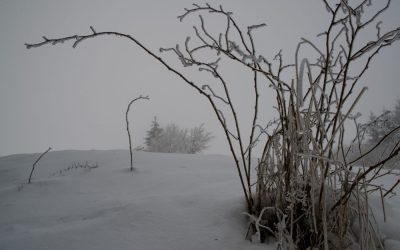 The Painful (and Sacred) Reality of Profound Winters