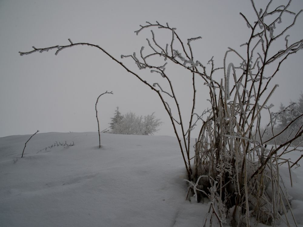 1000 x 750 A cold and barren winter scape.