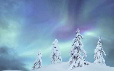 The 5 “R”s of Restoring and Winter (part one)