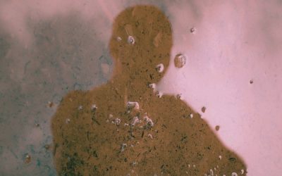 10 Reasons Recognizing Toxic Stress and Trauma is so Tricky