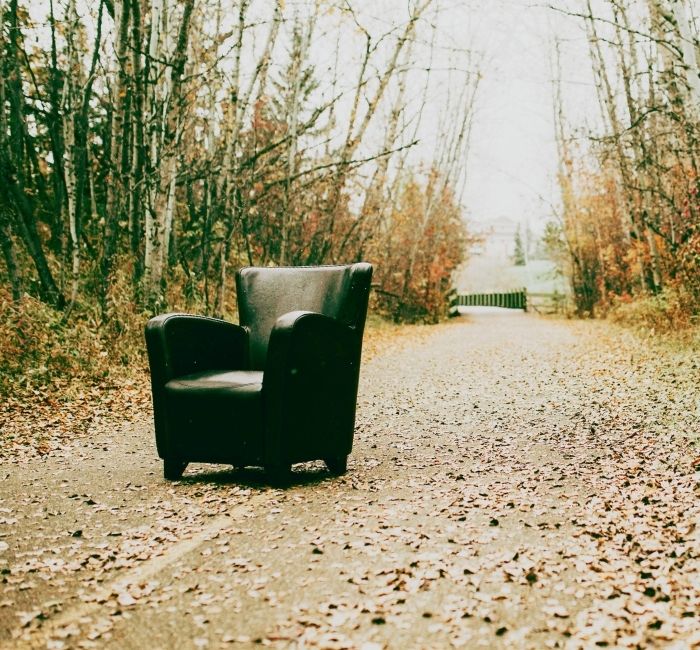 A brown leather bucket chair sitting in the middle of a paved path in the wooden amid many fallen autumn leaves.