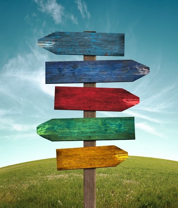 A wooden post with five different coloured wooden arrows pointing in different direction on a grassy hill amid a blue sky representing the "search".