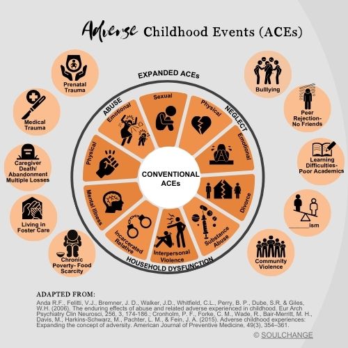 A visual graphic displaying the 10 original and the 10 additional Adverse Childhood Events that were identified through extensive research.