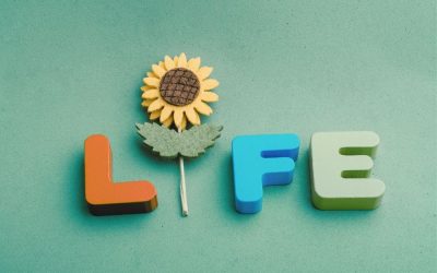 3 LIFE Reasons to Recover from Toxic Stress and Trauma