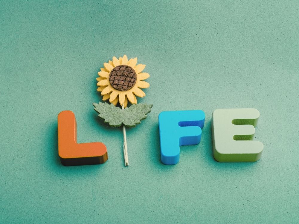 Different coloured wooden letters spelling LIFE representing the life reasons to recovery from toxic stress and trauma.